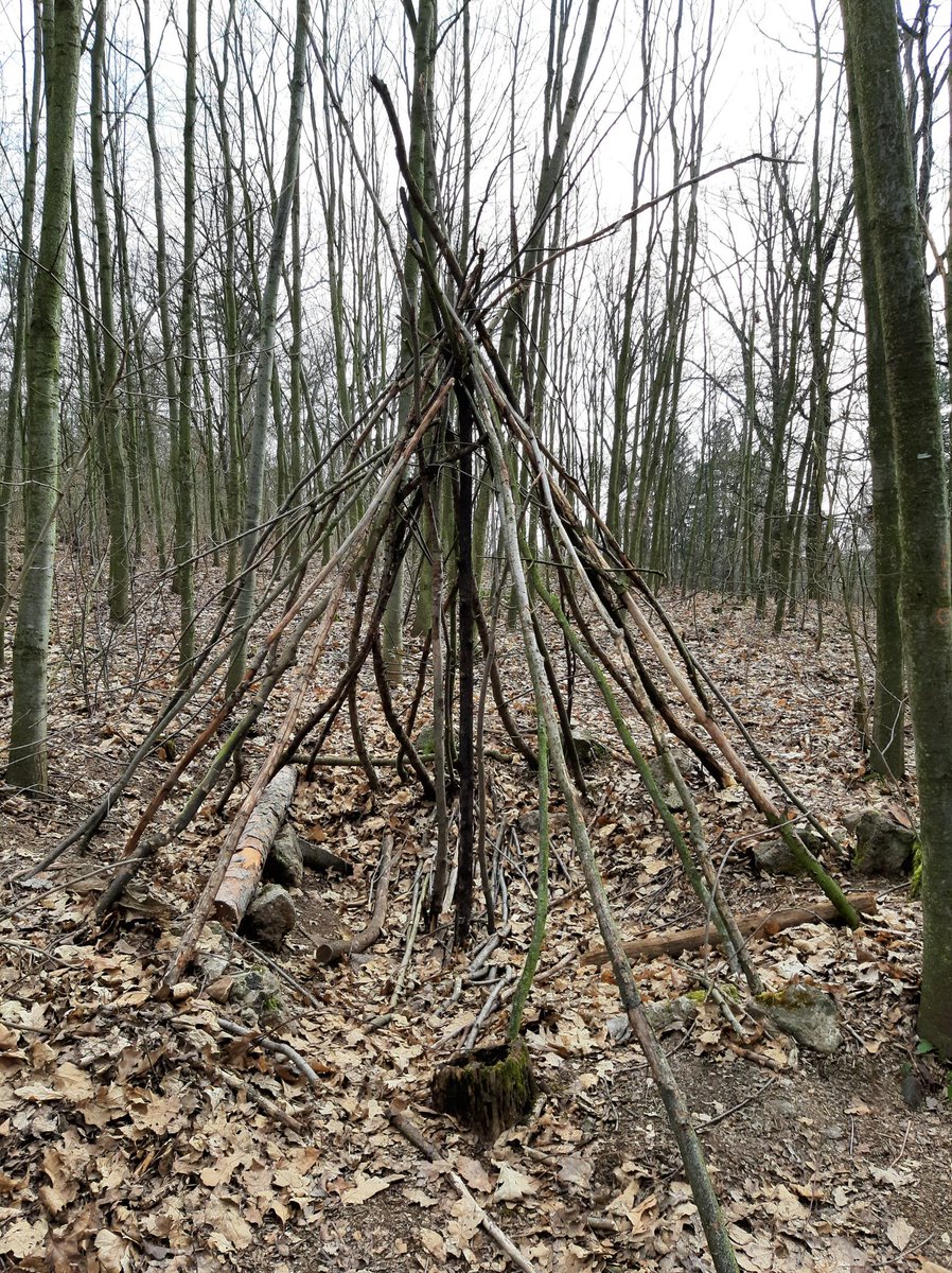 LiskaNaKolejich's tweet photo. Kdo se houpe, nezlobí 🦊 a vůbec, vylezte z jeskyní a mazejte ven!
#prochazka #houpacka #les #praha https://t.co/5Mu5LTVfws