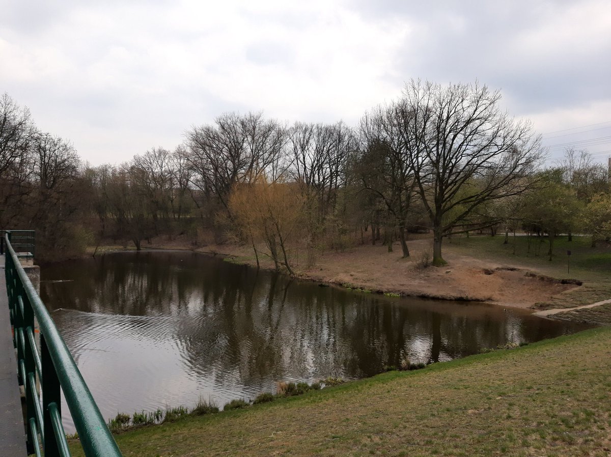 LiskaNaKolejich's tweet photo. Kdo se houpe, nezlobí 🦊 a vůbec, vylezte z jeskyní a mazejte ven!
#prochazka #houpacka #les #praha https://t.co/5Mu5LTVfws
