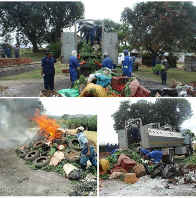 Burning fresh produce zimbabwe