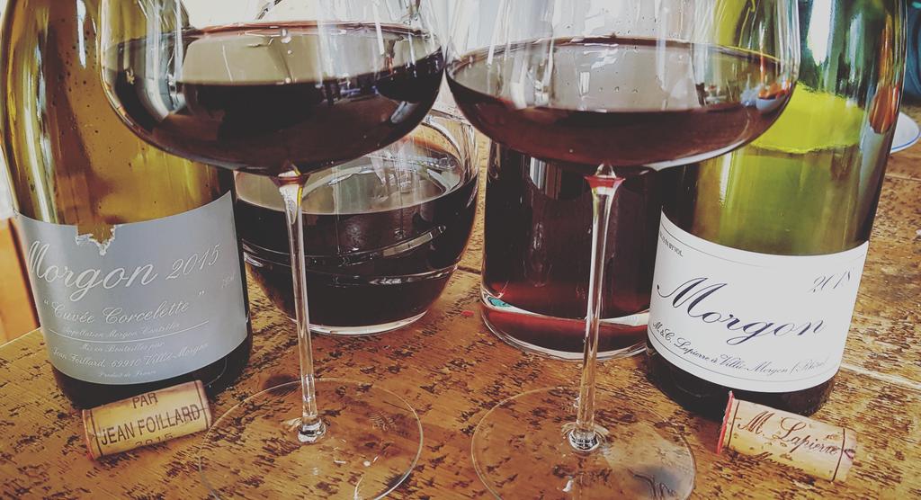 Bocaramon's tweet photo. 🍇🇫🇷 Morgon: #Foillard🍷 2018 vs. #Lapierre🍷 2015
Both drinking wonderfully 😎
#fridaylineup🤤🤪 #beaujolais #bojo #gamay #bourgogne #morgon #jeanfoillard #cuveecorcelette #marcellapierre
https://t.co/dUyjTTjTKp https://t.co/PqPF6HyMLu