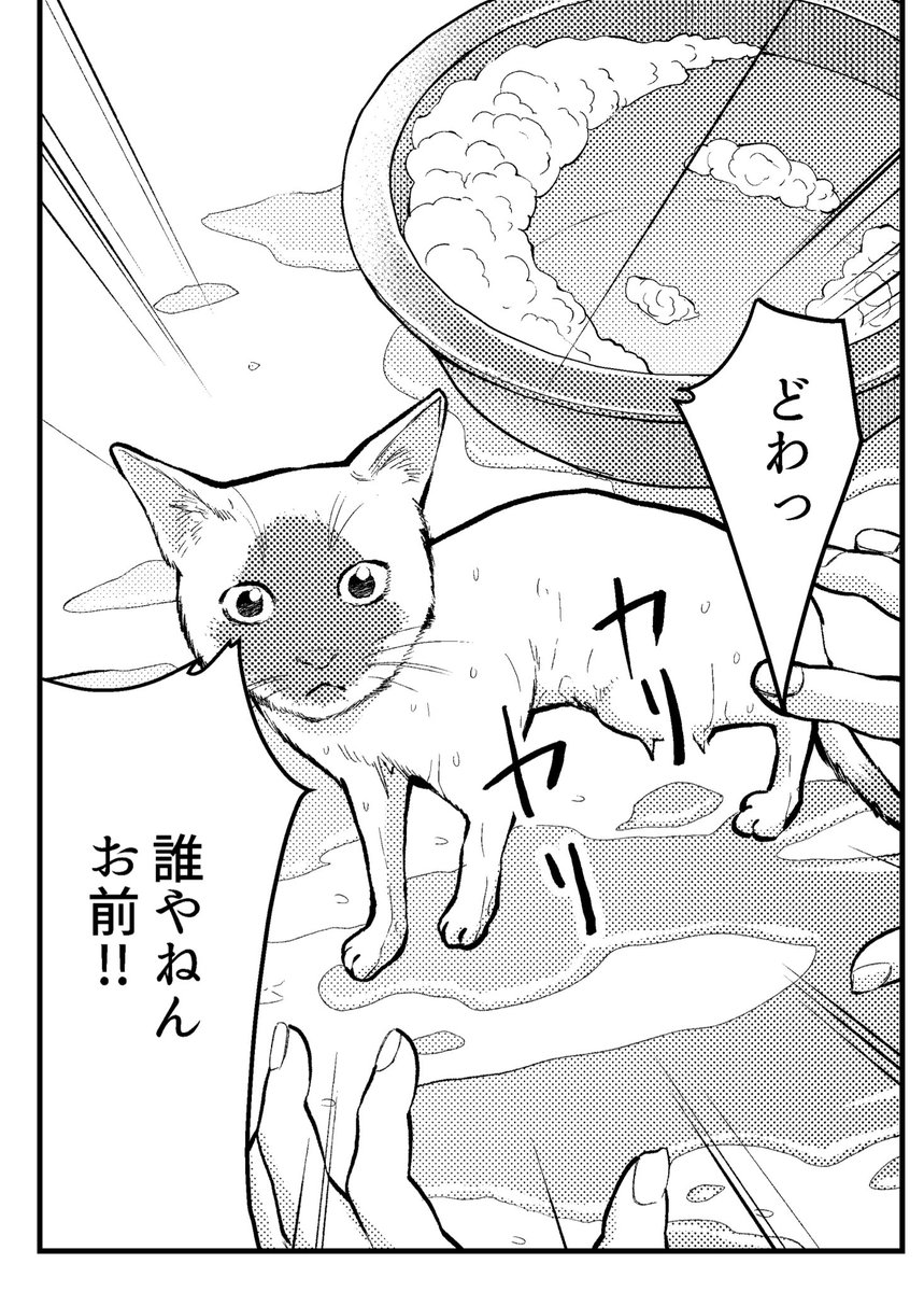 お待たせしました
お風呂回です 
31話はお風呂となりました

来週には更新できると思います? 