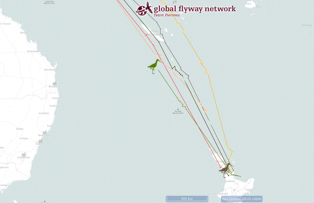 Global Flyway Network tweet media