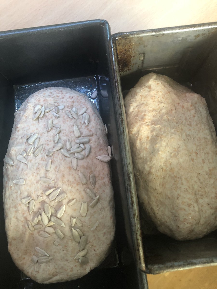 sphoenix78's tweet photo. Something rather therapeutic about making your own bread and soup...#feelingcreative #creativityinthekitchen #breadmaking #kneading #honeyandsunflower https://t.co/CgnxhOBwBH