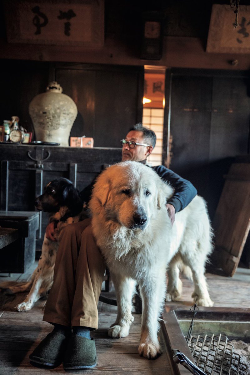 犬 特集☆発売中】 千葉で長年山暮らしをする画家・陶芸家の高仲健一