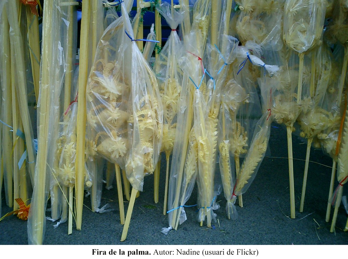 Aquesta serà una #SetmanaSanta especial. Demà és diumenge de Rams i tot i que no el podrem celebrar com de costum, des de l’IBB us plantegem una sèrie de reptes sobre els protagonistes vegetals de la jornada 
#BotànicaConfinadaIBB #JoEmQuedoACasa