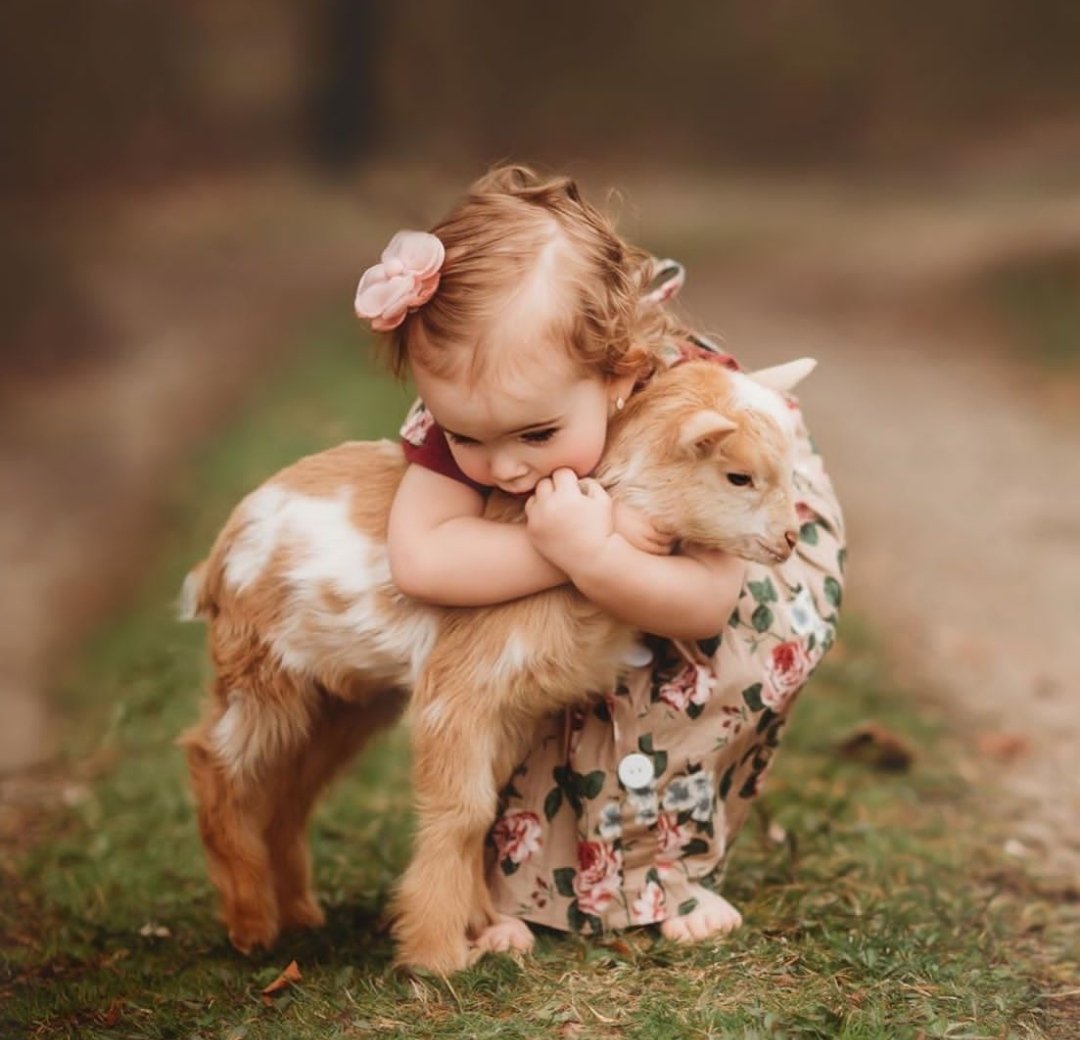 George Wittels (@georgewittels) on Twitter photo 