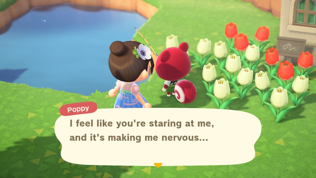 Aggereth's tweet image. #AnimalCrossing #ACNH #NintendoSwitch