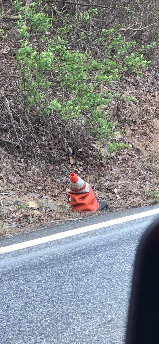 AutoBant's tweet image. Grrryffindor!!