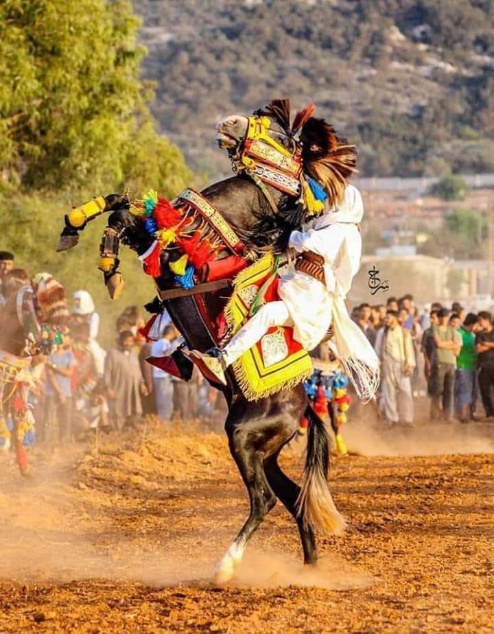 ghoogh71's tweet photo. فيه عرب كنت امعليها &amp; جا وقت التدويس عليها https://t.co/B7zeqyqQXT