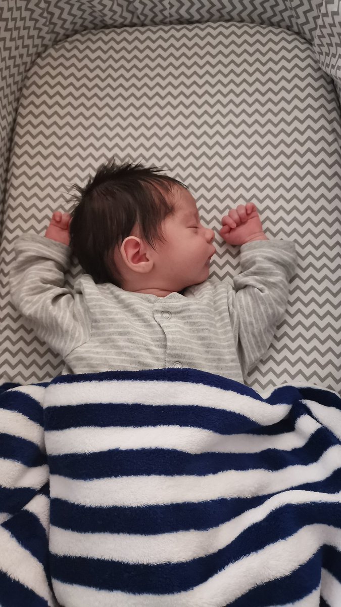 JamesMarsh1974's tweet photo. #CSBaby is doing her finest fork impression. https://t.co/vrvWrW0KKE