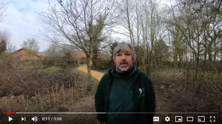 Hawkandowluk's tweet photo. Although we humans must adjust to a change in lifestyle, for the flora and fauna at our reserves it’s business as usual! Nigel Middleton updates us from Sculthorpe Moor
https://t.co/mfBjrlhTMZ https://t.co/s37QozXxkr