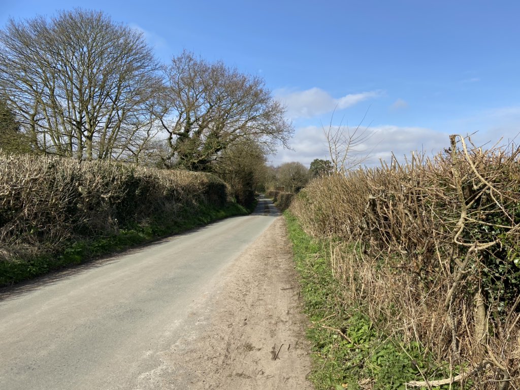 chris1974jones's tweet photo. Lesson in life for the kids today, walked up and down the lane by our house and collected all the litter and filled a big bag full of rubbish #ecowarriors #kidsamazedhowmuchtherewas #5ksteps #3.5kwalk #healthyweekend https://t.co/NF5fziQwHJ