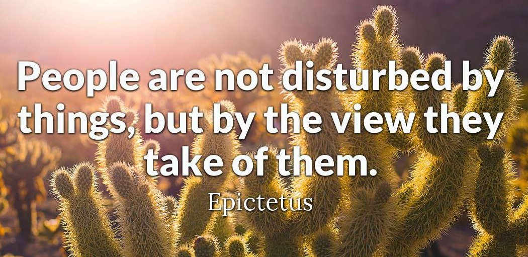 Обои с цитатами. Wishes for you надпись. Bite off more than you can chew. Нил мориц форсаж 1. You can more.