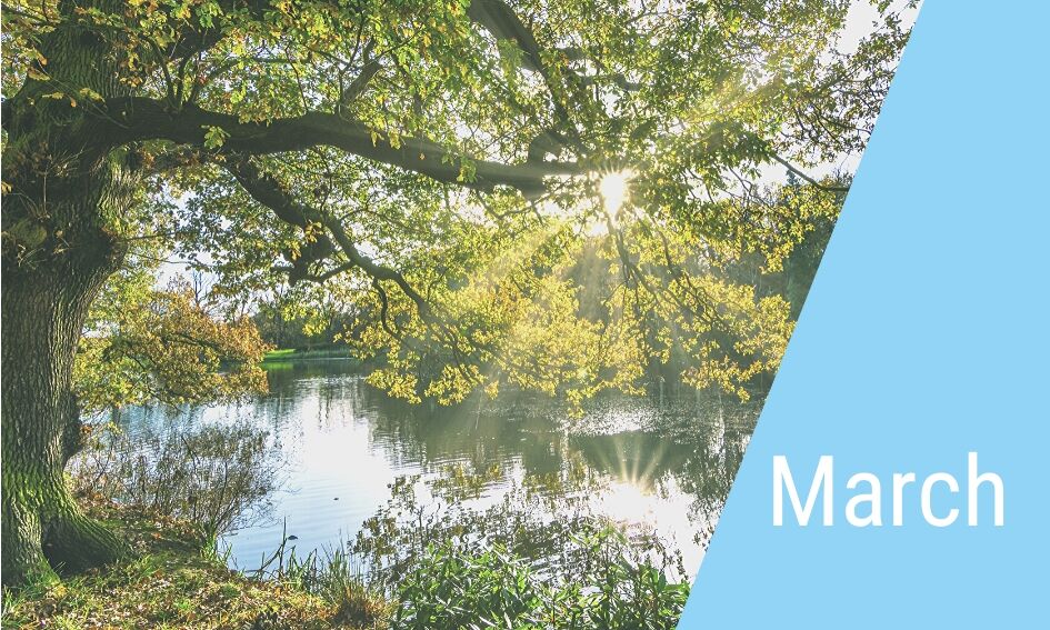 BOSAQ | Want to know what we have been up to in March? 💪💧 - mailchi.mp/20980ad34f45/n…
