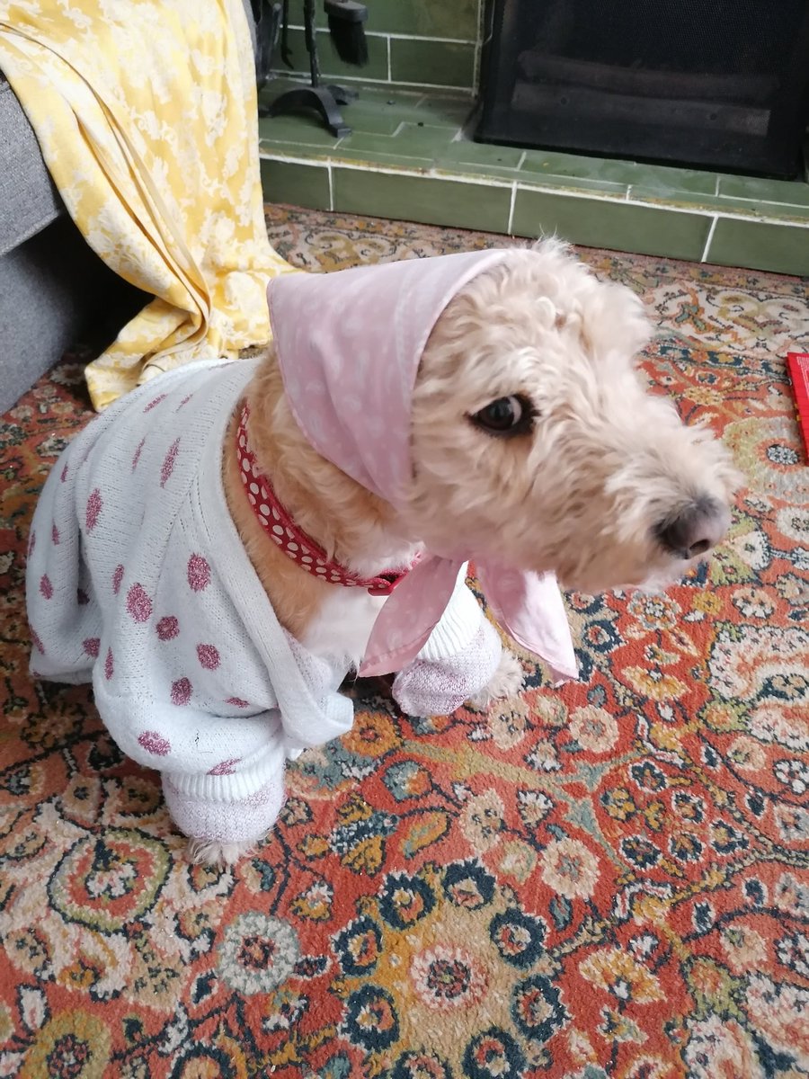 The kids are missing their granny so I've arranged a substitute