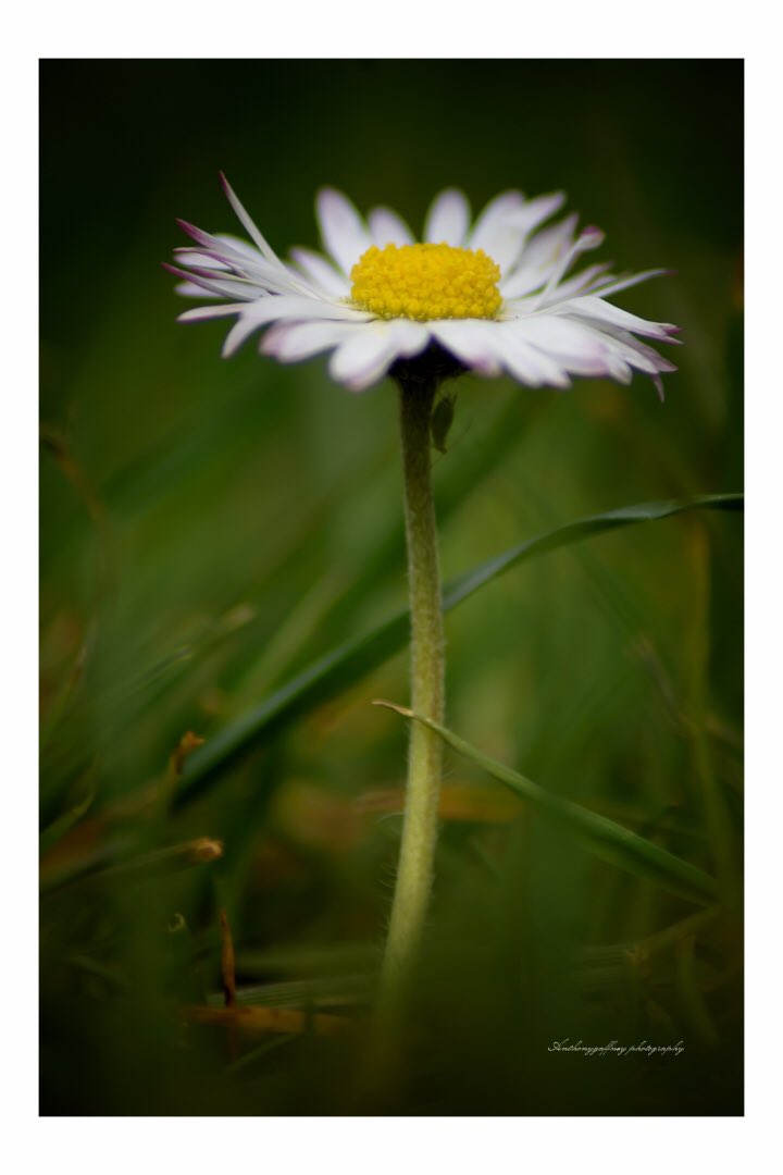 TonyFred1432176's tweet photo. What you don’t see in this little world of macro photography;
#macro #StaySafeStayHome #smallbugs @Wildflowerlove6 @HollyJGreen @bbcwildlifemag @nikonownermag @BBCSouthWeather @BBCSpringwatch @cover_images @AP_Magazine @OPOTY @OutdoorPhotoMag @WildlifeMag https://t.co/KsbpqxqoHn