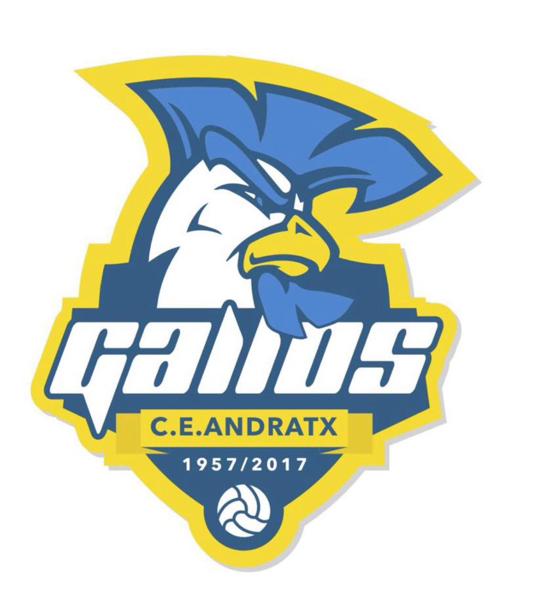 ce_andratx's tweet photo. G A L L O S 💙🐓 https://t.co/JBxynqmP23