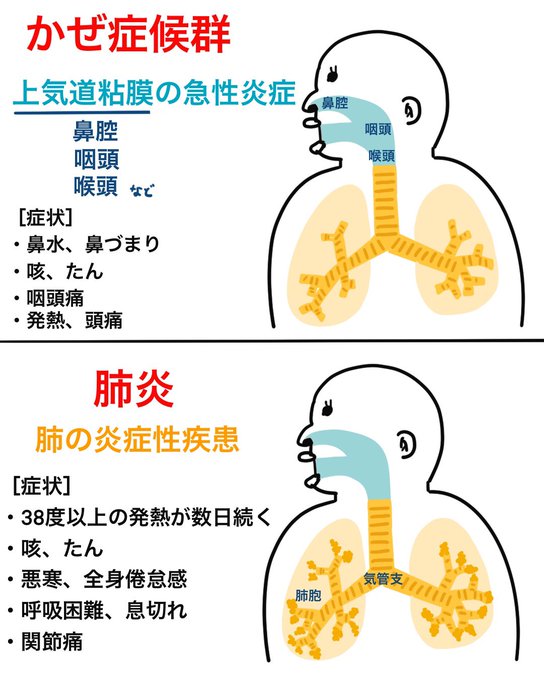 ทว ตล าส ดゴロ 解剖生理イラスト 7 ว เคราะห ทว ตเตอร กราฟ ก Whotwi
