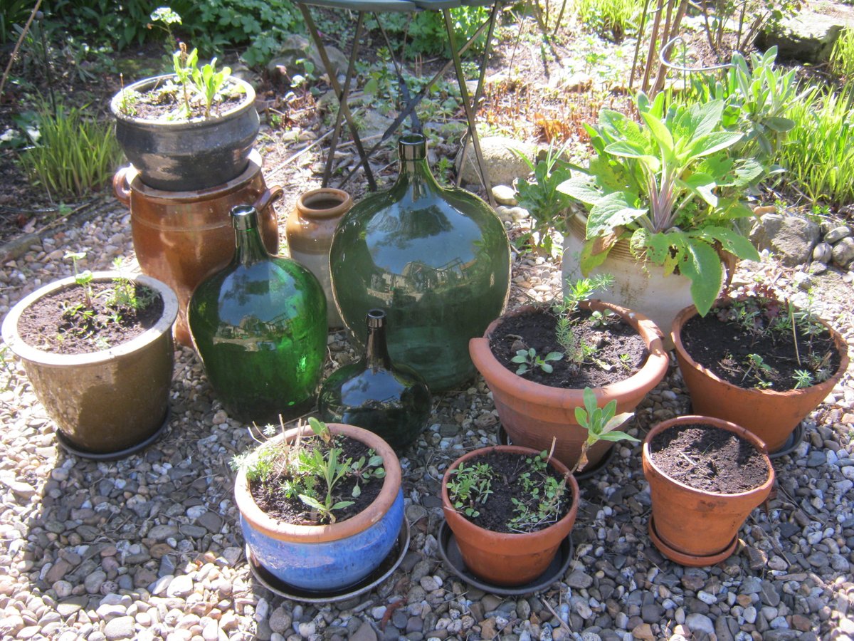 LoonPeterDordt's tweet photo. Nu het mooie weer daar is maar de adviezen luiden thuis te blijven is het dan nu niet een geschikt moment om de natuur naar de tuin of het balkon terug te halen. Steen eruit, natuur erin. Kweek zelf zaai zelf en geniet van wat er uit zo'n klein zaadje kan groeien en wat een rust. https://t.co/HvXxLuSmnf