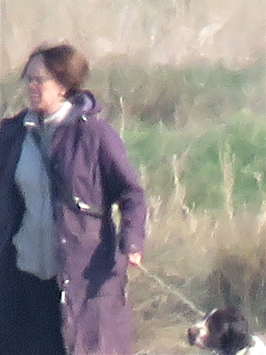 Uptongaraham's tweet photo. Blood Pressure thro' the roof when noticed this idiot in the middle of Upton Marshes, Deer, Wildfowl & Waders in all directions. #supportnwt https://t.co/lfDojWcPzt