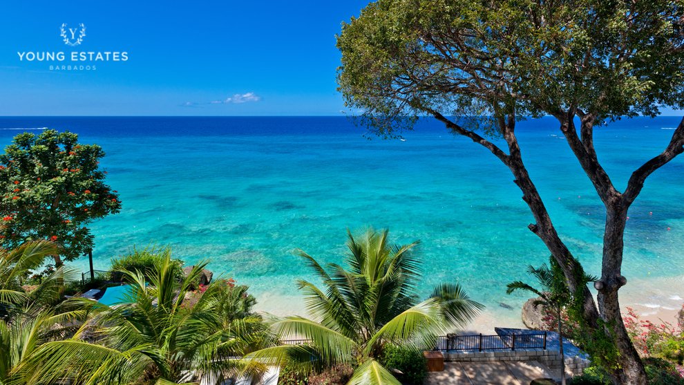 We start today with a grateful heart and this incredible view. Let us put some sunshine into your day. ☀️This is Sandy Cove. E: enquiries@youngestates.com #ParadiseAtSandyCove #CaribbeanBlues #LiveLifeStayYoung  #beachfront #LuxuryCondominium #LoveBarbados