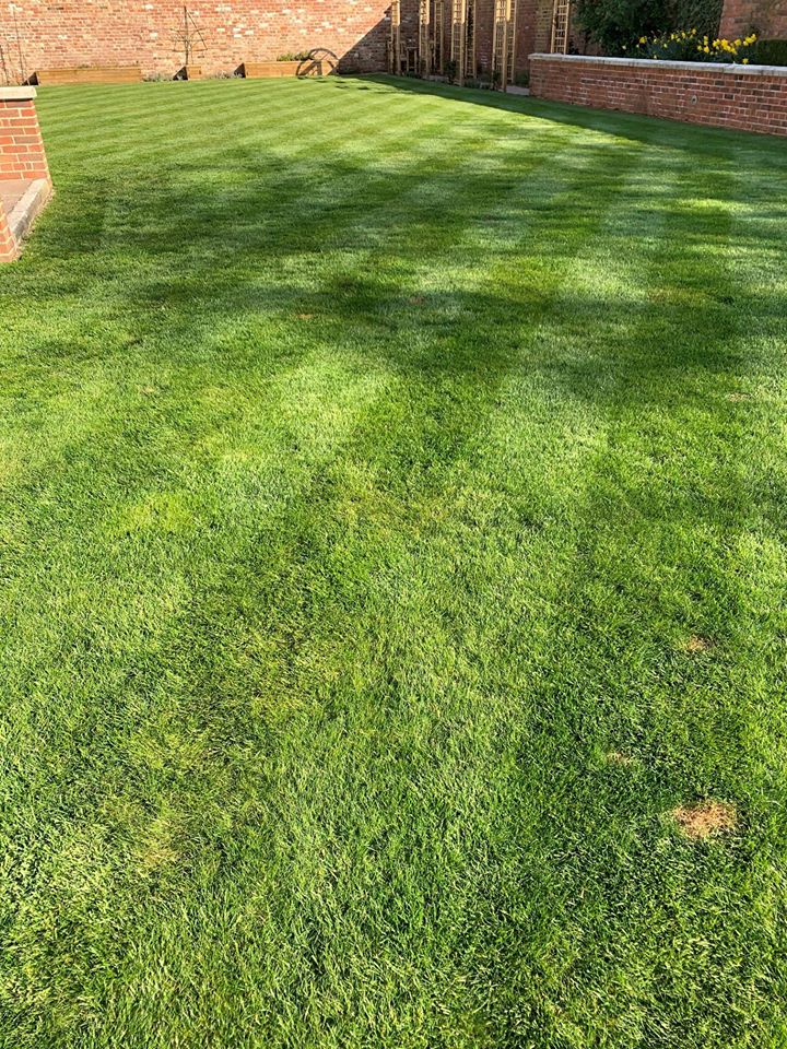 GSLawnCareUK's tweet photo. We want to have some light-hearted fun with you all this weekend...

Starting with "rate my lawn" 🌿🍃

Rate this lawn out of 10! ⤵

Put your own lawn pictures below and rate them out of 10 - serious or witty comments are welcome!

(Please be kind!)

Enjoy 🎉 https://t.co/gXQxsXssS7