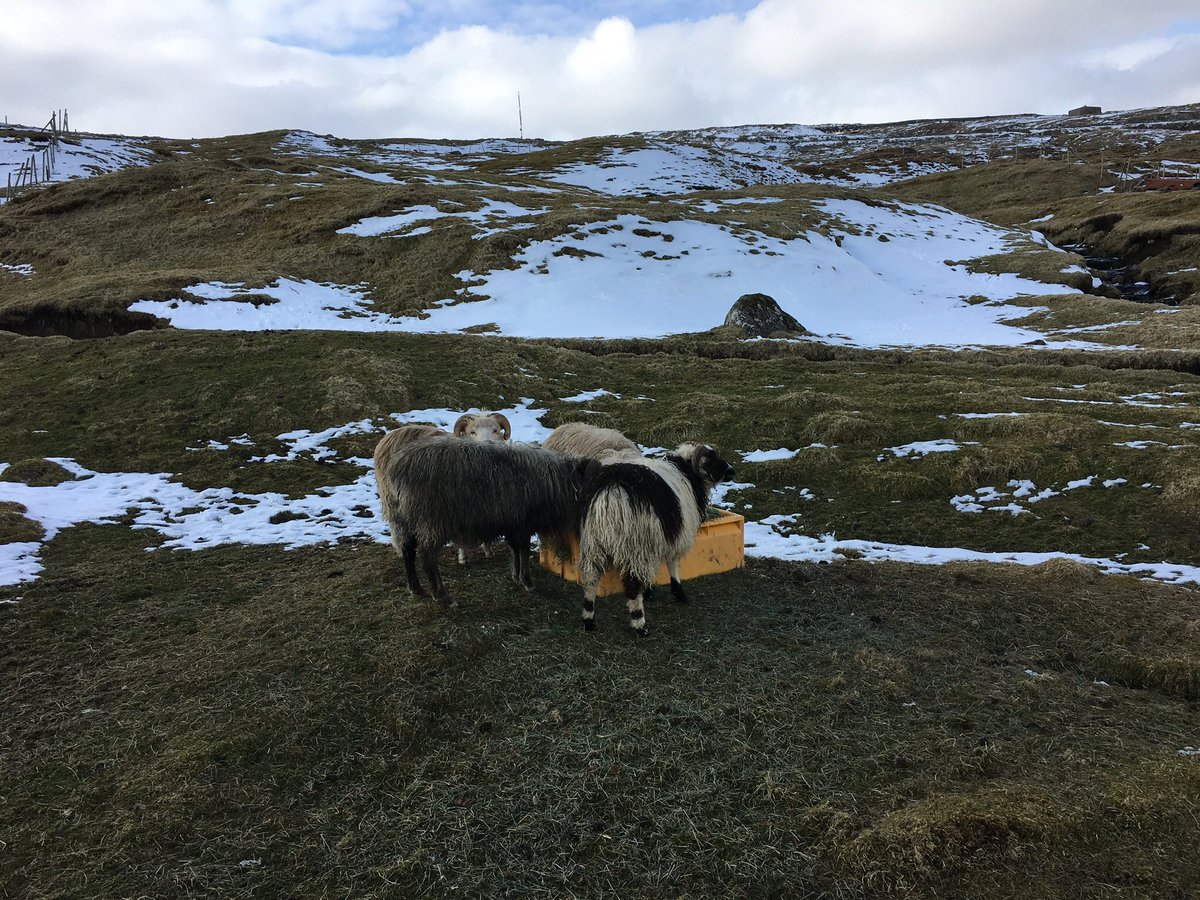 Matartíð