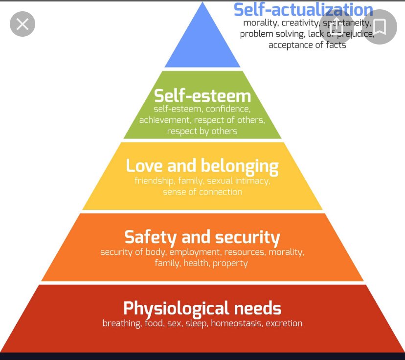 KnoHowBoiTip's tweet image. #Maslowshierarchyofneeds 1st is your physiological needs (breathing, food, SEX, sleep, homeostasis, excretion!