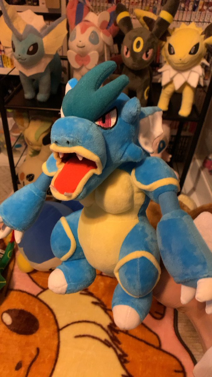 先月に引き続きまた、中国からポケモンが届きました。 今回は