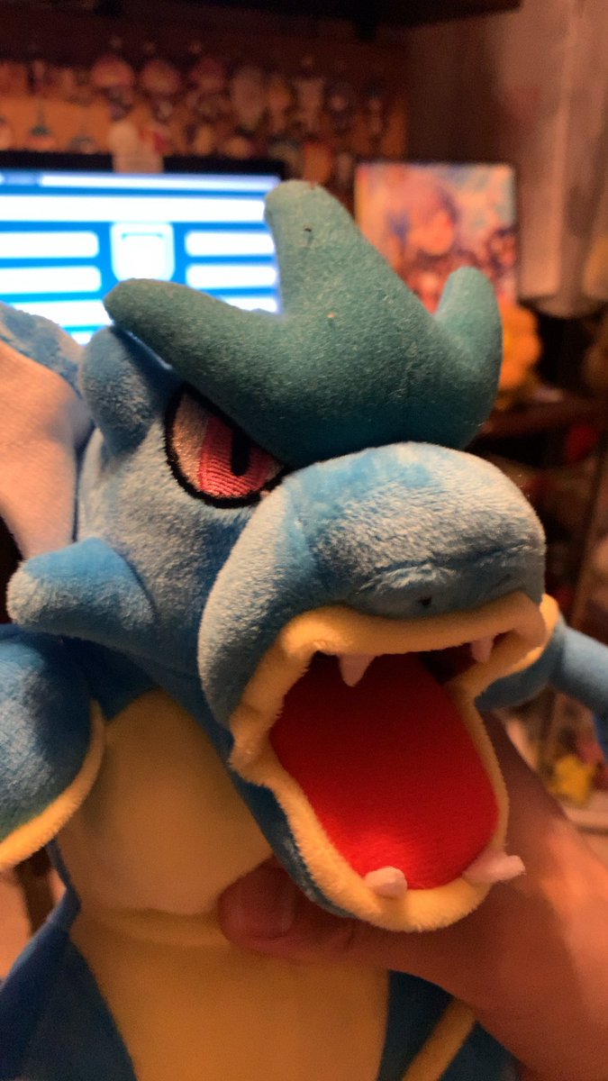 先月に引き続きまた、中国からポケモンが届きました。 今回は