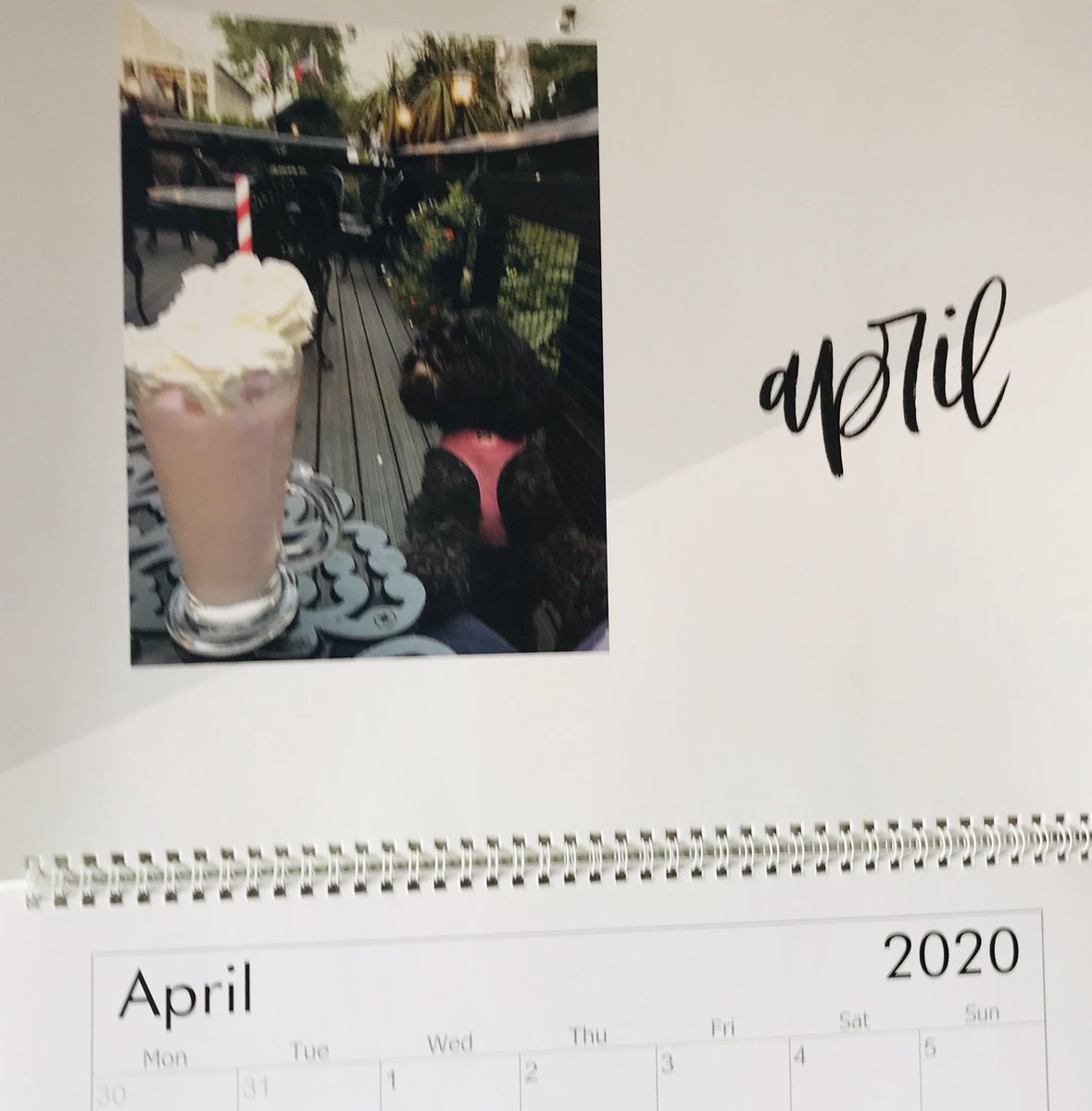 April on the Mitzee Calendar is me wanting a milkshake!