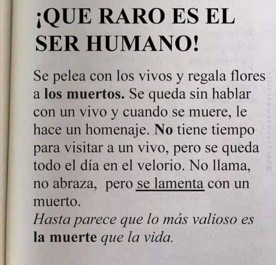 VicenteLaparra's tweet photo. Nunca te creas superior a nadie. Todos venimos a cumplir una misión en esta vida ~ Hernán Sabio https://t.co/33SvFYtGYA