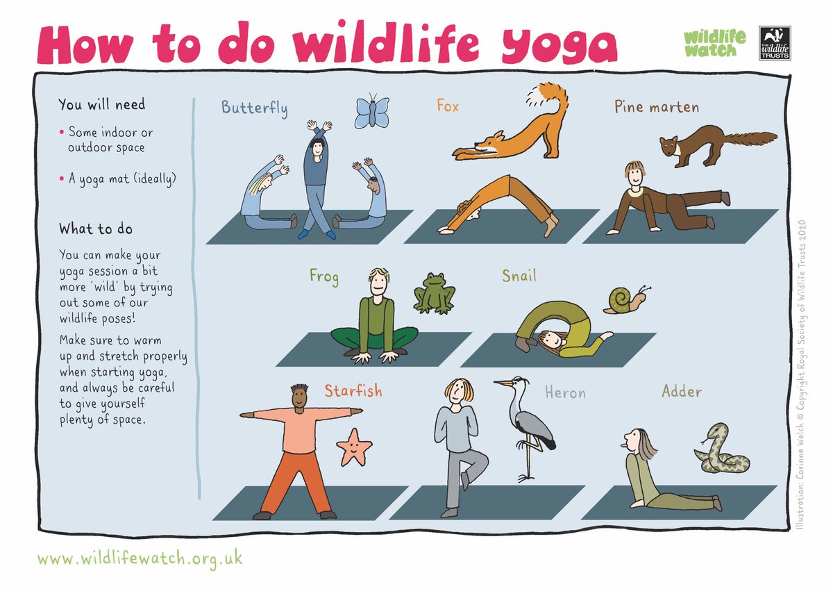 WildlifeTrusts's tweet photo. With the warm weather expected tomorrow, we've got lots of ways you can connect with nature in your home and garden. Take a look! 👉 https://t.co/wqNLcEcWSY 🐌 🦊 🦋 🐍 🐸  #StayAtHomeSaveLives https://t.co/5pAipkXUMH