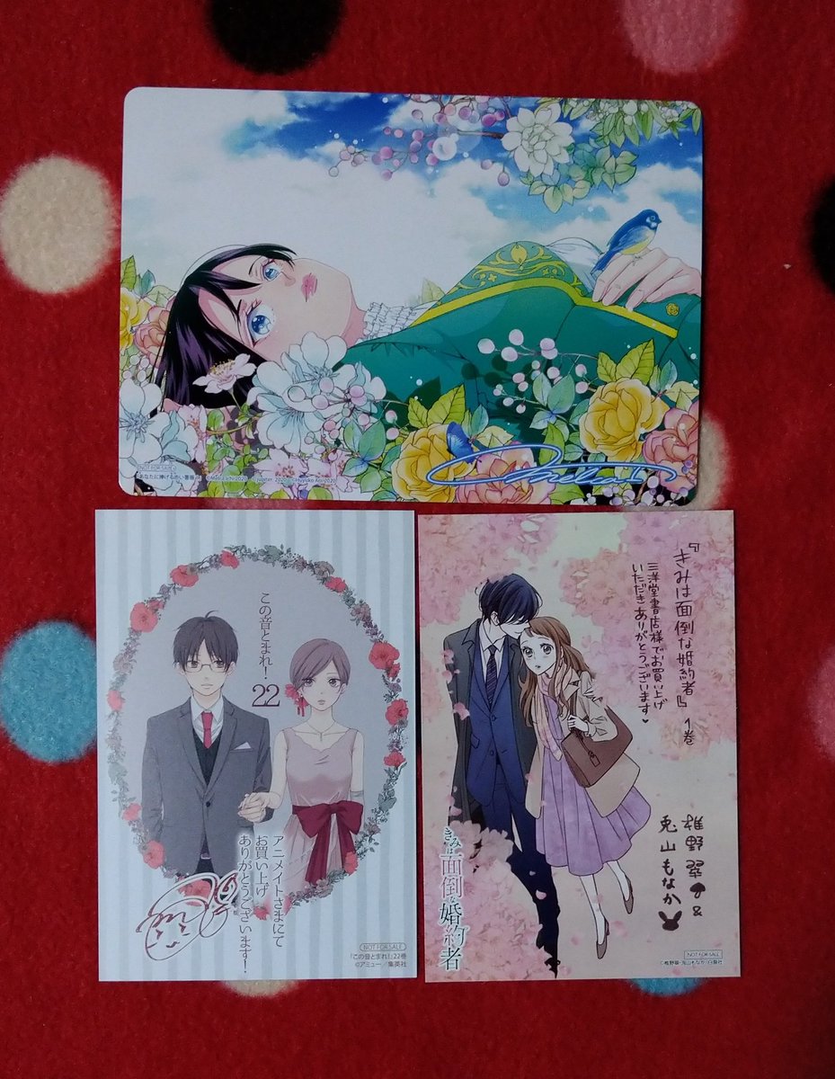 あなたに捧げる赤い薔薇