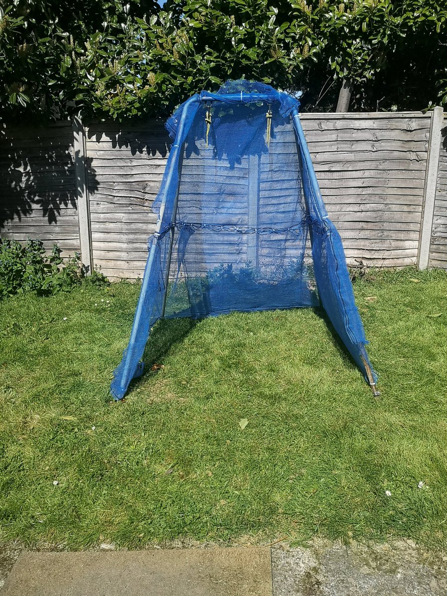 Boizey's tweet image. New practice net facility built 🏌️‍♂️ #lockdownpractice #swingpractice #golf