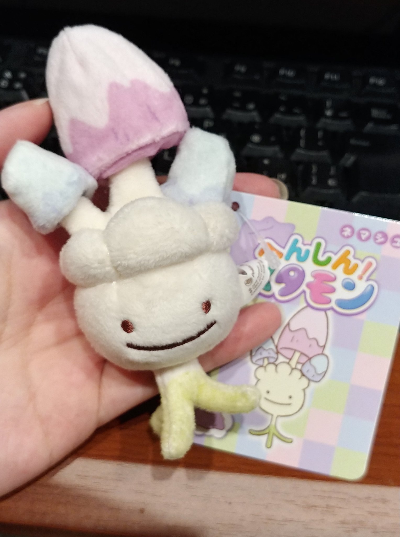 お花屋さんの Twitterren 5 タマゲタケ キノコポケモンの中で一番好き 世界一好き 写真なかったけどぬいぐるみあります デザインがもう天才 最高 好き ただしモロバレルてめーはだめだ 6 ネマシュ キノコポケモンの中でマジで一番好き 世界一好き 普通 お花屋さんの Twitterren 5 タマゲタケ キノコポケモンの中で一番好き 世界一好き 写真なかったけどぬいぐるみあります デザインがもう天才 最高 好き ただしモロバレルてめーはだめだ 6 ネマシュ キノコポケモンの中でマジで一番好き 世界一好き 普通