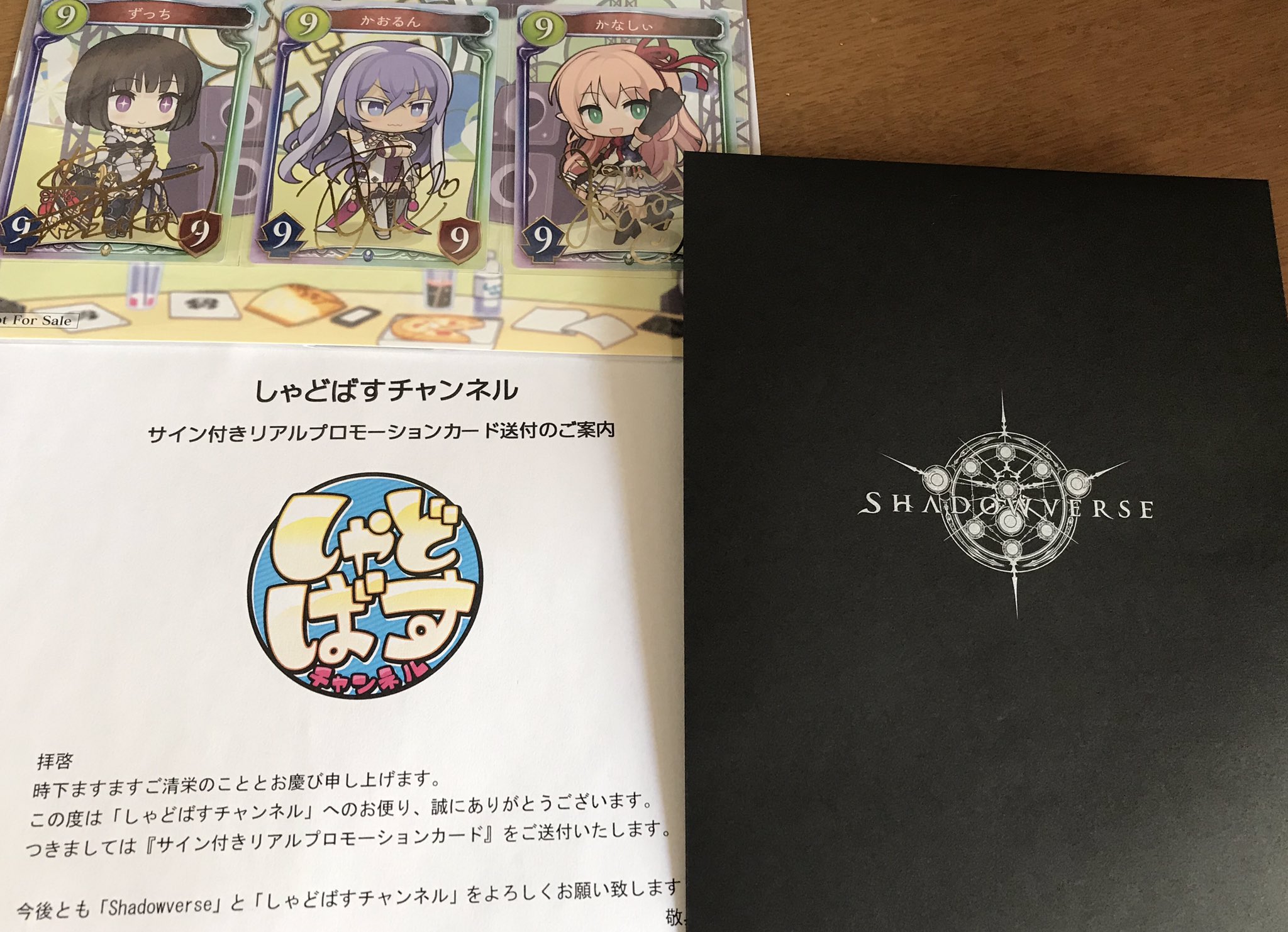 【めっちゃ変わる】 しゃどばすチャンネル サイン入りリアルカード シャドウバース エボルヴ