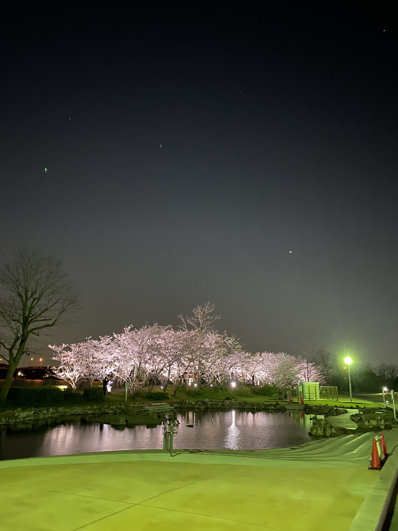 Daffy ポケgo孤高のエンジョイ勢 恒例となっている夜散歩 今夜は手賀沼親水公園に行って来ました いやはや夜桜がとても綺麗でした ちなみにゴマゾウの巣でした T Co Fpovzmhntw Twitter