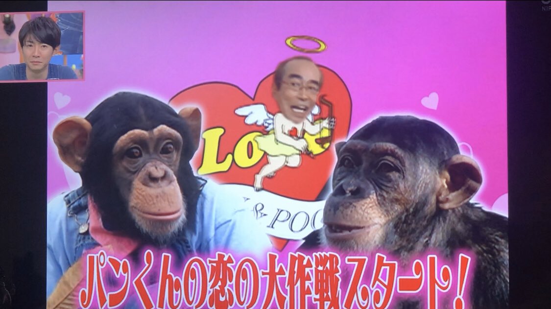 林知佳 旅する複業占い師 Twitter પર パン君手をなかなか握れなかったのに 女の子が股 触って笑ってる姿が 最近の人間界にも起こってる姿です 志村動物園 肉食系女子