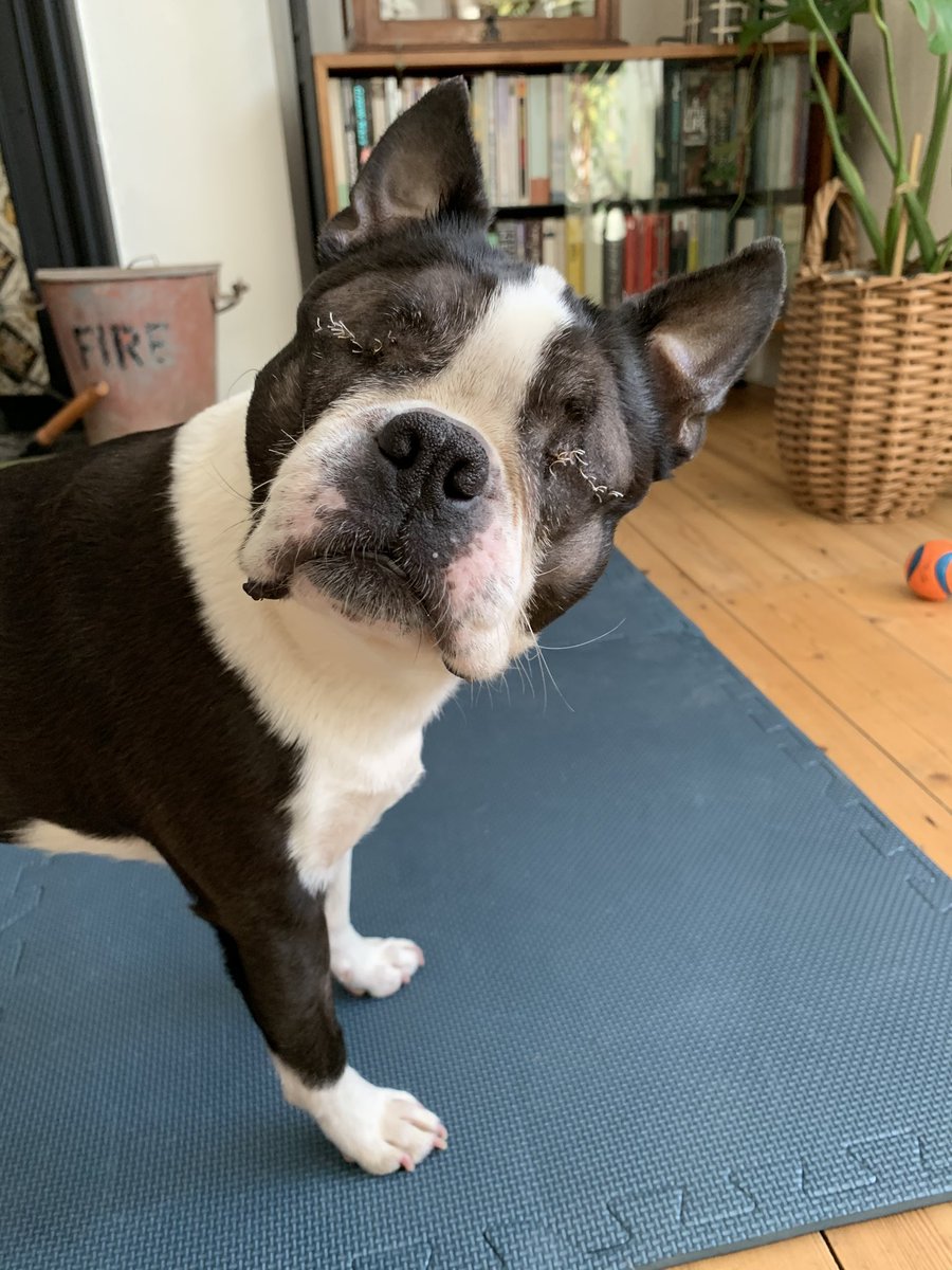 Dr Ryan George tweet media