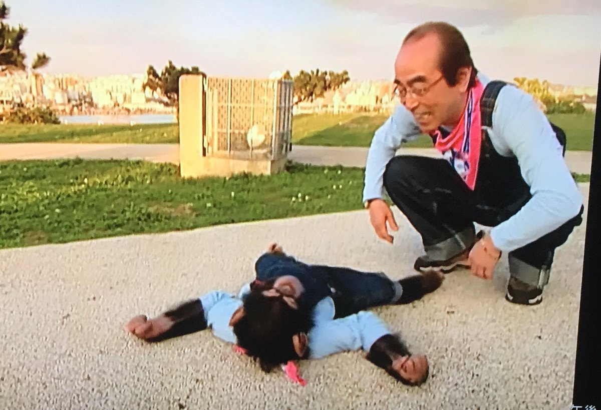 ずっとパンくんと園長見てきたからほんまに泣ける😭 プリンちゃんの