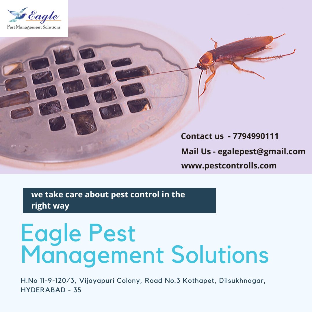 Eagle Pest Management Solutions (eagle_pest_ctrl) Twitter