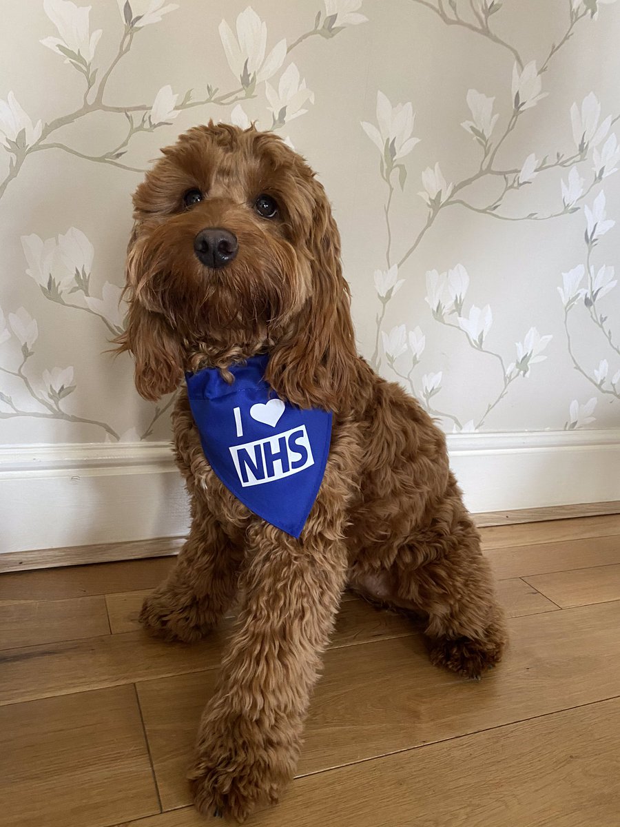 Amanda Jones (The Crafty Barn) (@ajmumbles) on Twitter photo Thank you NHS love Hettie 9 months old <a href="/NHSuk/">NHS</a> <a href="/LloydCymru/">Lloyd Warburton🏴🇺🇦</a> <a href="/PublicHealthW/">Public Health Wales</a> <a href="/ITVWales/">ITV Wales News</a> <a href="/BBCWalesNews/">BBC Wales News</a> <a href="/rjournal/">Rhyl Journal</a> <a href="/NWWeeklyNews/">NorthWalesWeeklyNews</a> <a href="/northwaleslive/">North Wales Live</a>
<a href="/BorisJohnson/">Boris Johnson</a> <a href="/MattHancock/">Matt Hancock</a>
#ThankYouNHS 💙 Thank you NHS love Hettie 9 months old <a href="/NHSuk/">NHS</a> <a href="/LloydCymru/">Lloyd Warburton🏴🇺🇦</a> <a href="/PublicHealthW/">Public Health Wales</a> <a href="/ITVWales/">ITV Wales News</a> <a href="/BBCWalesNews/">BBC Wales News</a> <a href="/rjournal/">Rhyl Journal</a> <a href="/NWWeeklyNews/">NorthWalesWeeklyNews</a> <a href="/northwaleslive/">North Wales Live</a>
<a href="/BorisJohnson/">Boris Johnson</a> <a href="/MattHancock/">Matt Hancock</a>
#ThankYouNHS 💙