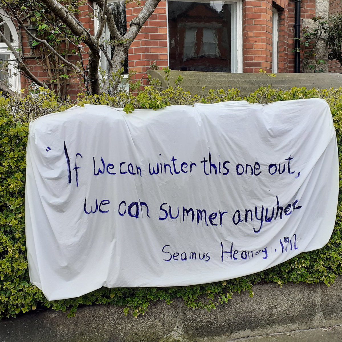 Spotted this while out for exercise period this morning