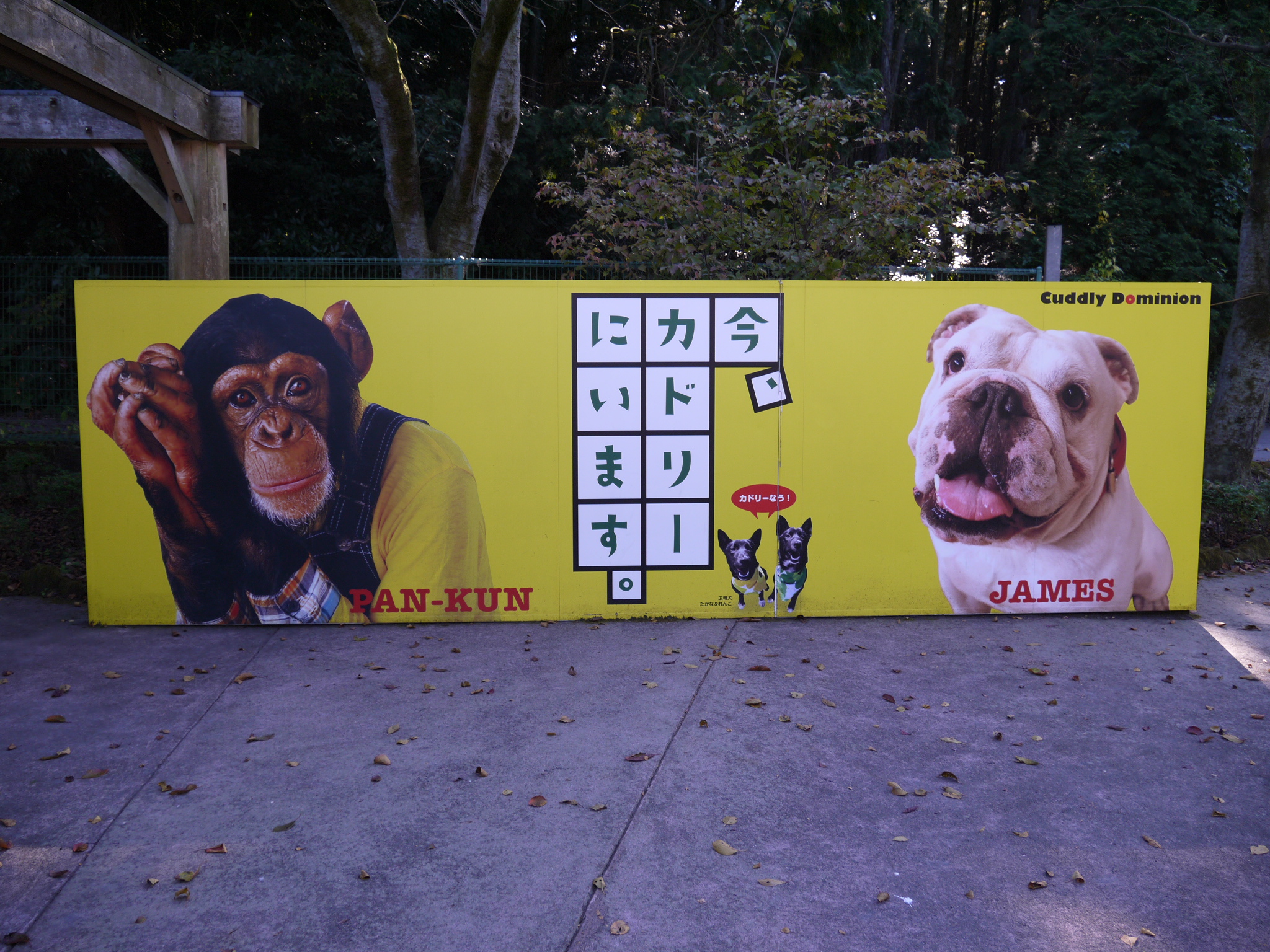 ポスター 志村けん 志村どうぶつ園 志村動物園 パンくん パン