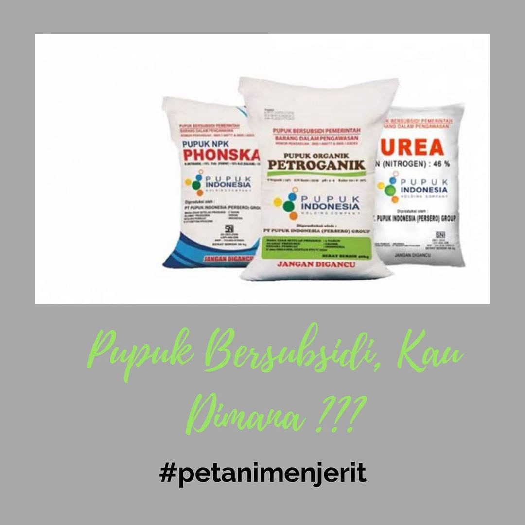 grobogantoday's tweet photo. Pripun @ganjarpranowo @dispertan @SumarniGrobogan iki wayahe ngrabuk. #petanimenjerit https://t.co/CXK8C6xqld