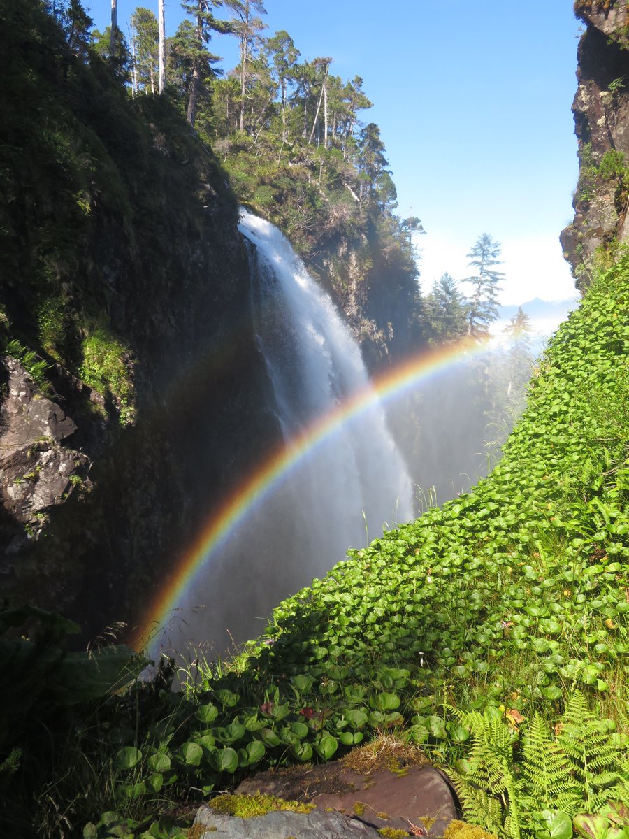 J.K. Rowling tweet media