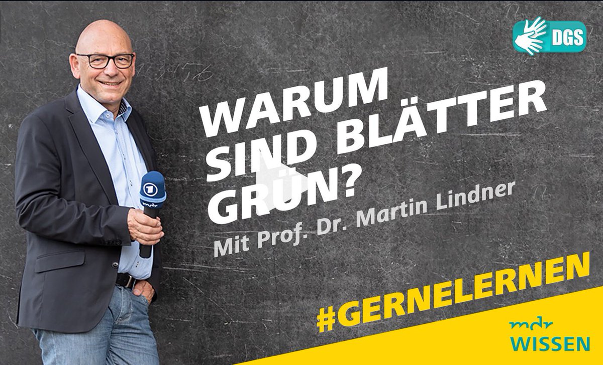 georgschmolz's tweet photo. Das digitale Klassenzimmer #barrierefrei in #Gebärdensprache #MDRWissen Lernen trotz #Corona ab 12 Jrn. #gernelernen täglich: https://t.co/7pytdijBls… 
#inklusion @gehoerlosenbund #barrierefreiheit #mdrpresse ⁦@taub_katholisch⁩ #UN_BRK #teilhabe @glzeitung @dbr_info #DGS https://t.co/yZTBhm9oHn