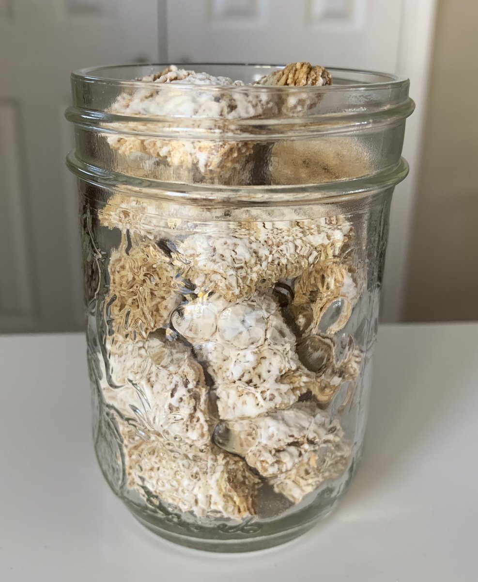 Estimation: How many Mini Wheats are in this jar? Visit artofmathed.ca Preschool - Gr 3 What Do You See? Activity 5 for an Estimation Mystery video with clues to lead you to the answer! Inspired by <a href="/stevewyborney/">Steve Wyborney</a> #estimysteries #ArtofMathEd #ArtofMathEdSee