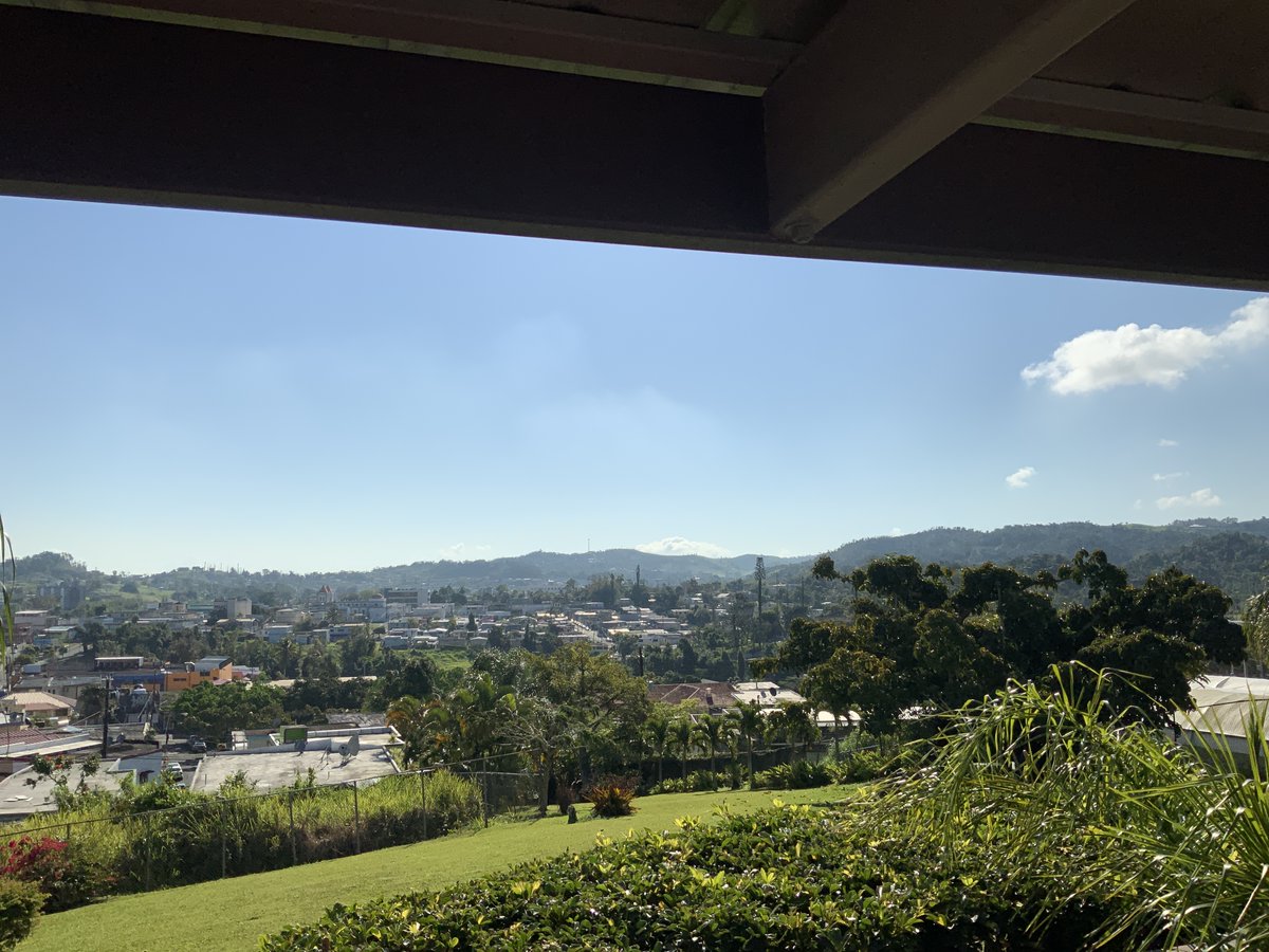 JoseACollazo7's tweet photo. Creo que por fin empezó la primavera en Aibonito...😷😷😷 https://t.co/klqWzMkMNn